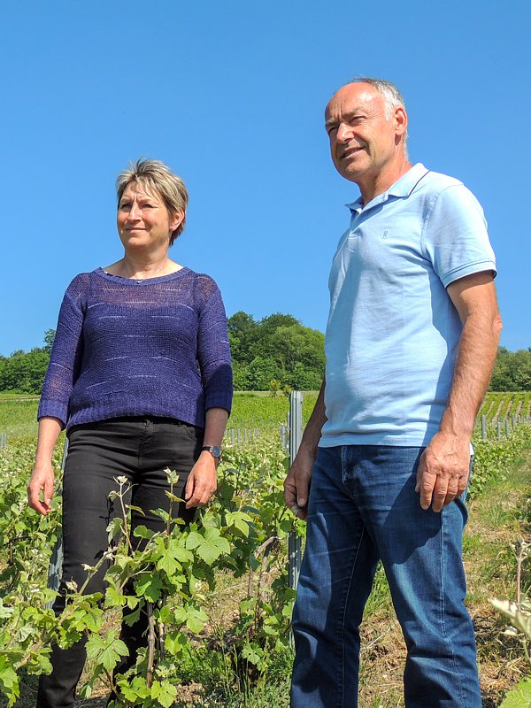 Vignerons propriétaires récoltants à Verneuil